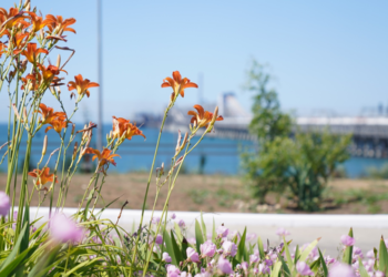 مجموعة أوتيكو (OTEKO) تصدر ملخص الربع الثالث عن حالة البيئة البحرية