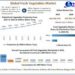 Fresh Vegetables Market to reach USD 801.3 Bn by 2029, emerging at a CAGR of 3.02 percent for (2023-2029)