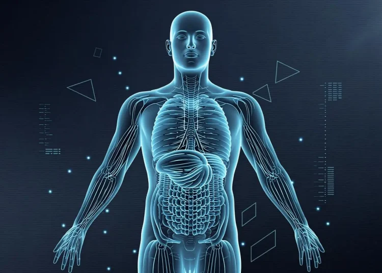 $61.97 Billion by 2029 — How AI-Powered Reconstruction and Spatial Computing Are Transforming Visual Intelligence